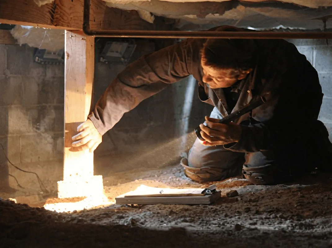 A professional inspecting wooden beams under the floor of a structure in Madison, WI